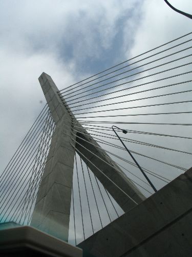 IMG_3586