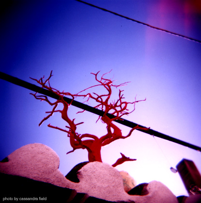 Tree Wire