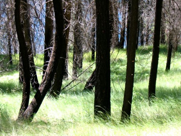 IMG_1339.JPG