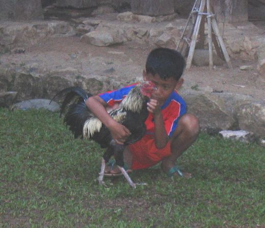 IMG_4750