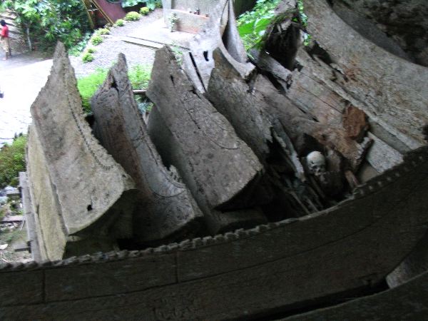 IMG_4733